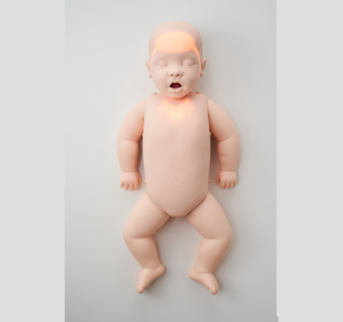 Brayden Baby - 8472